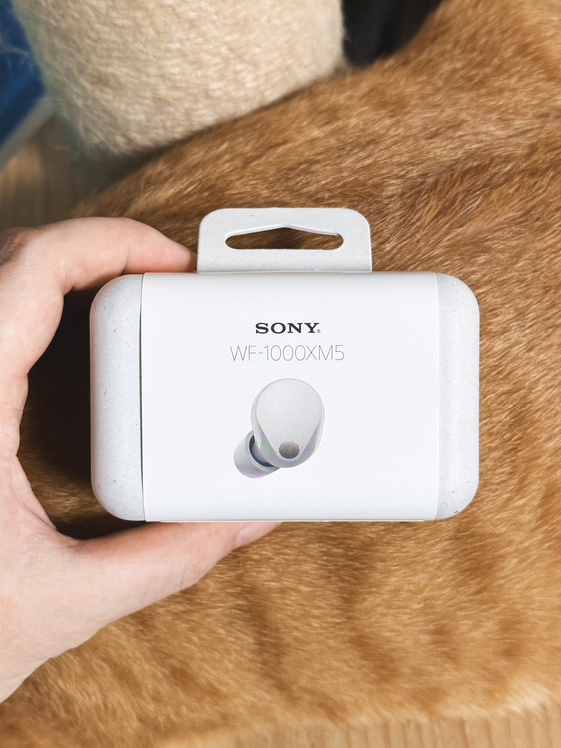 时隔2年它来了!