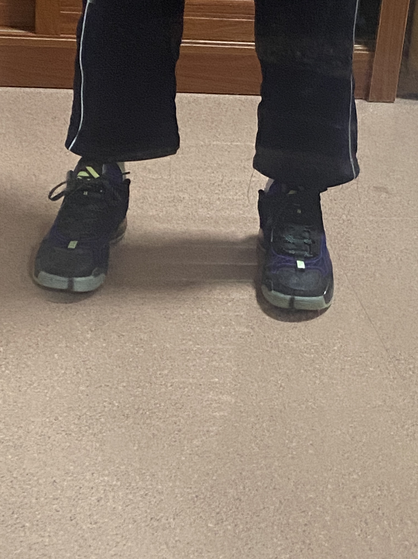一代的延续与升级    不可多的的实战好鞋   东契奇二代