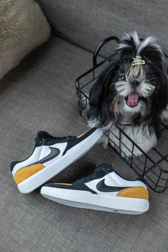 🐕狗狗都羡慕‼️这鞋子太可爱了吧💓~