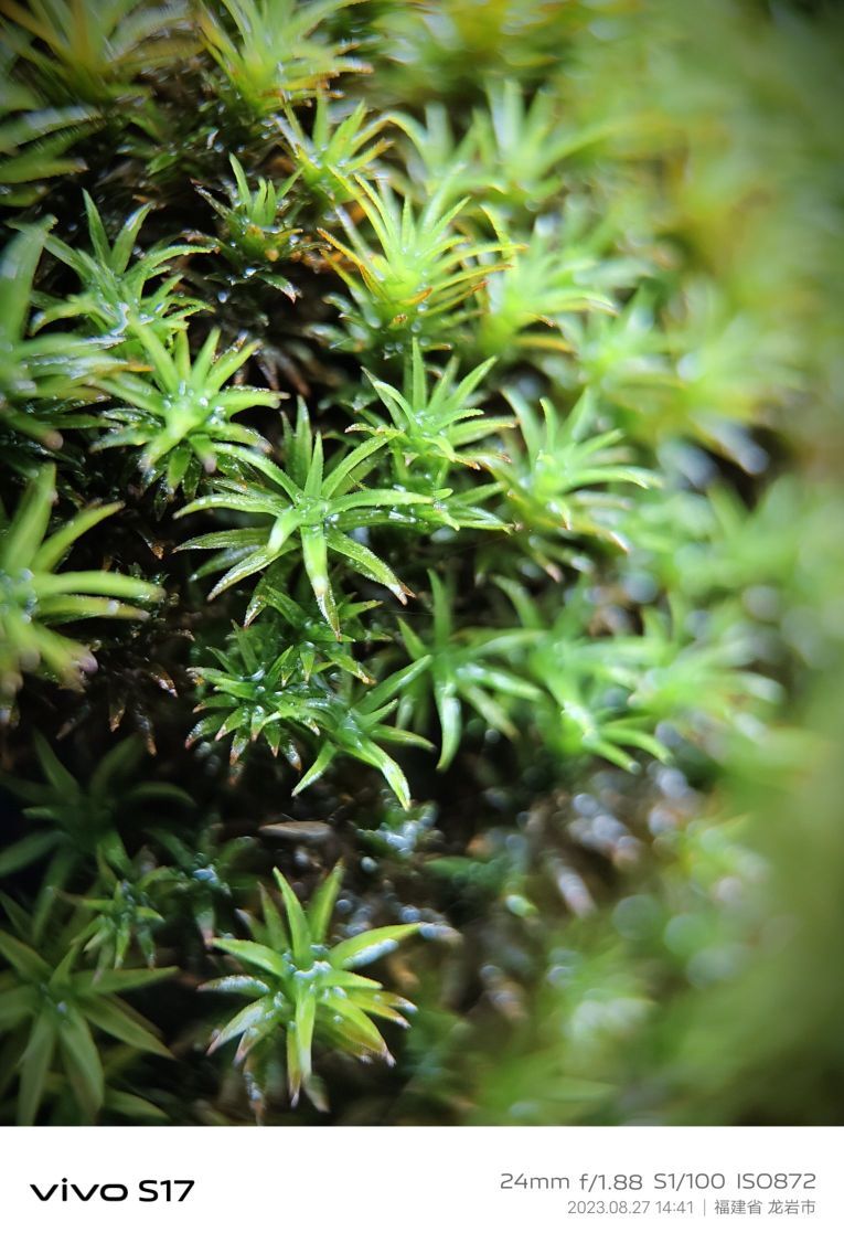 秋天是一个多彩的季节，不仅有黄色和红色的