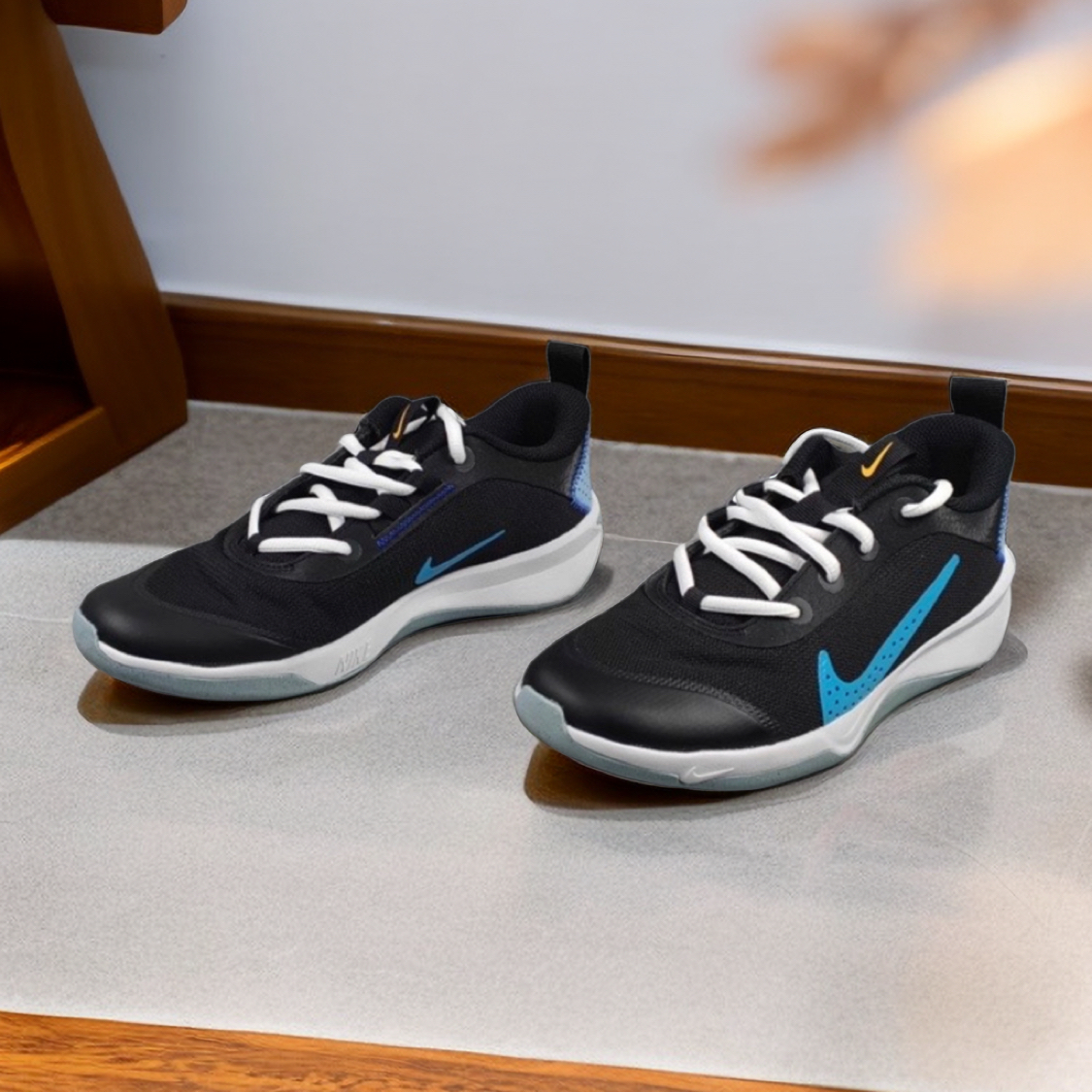 Nike Omni Multi-Court (GS)
