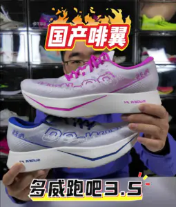 『国产坦途』啡翼