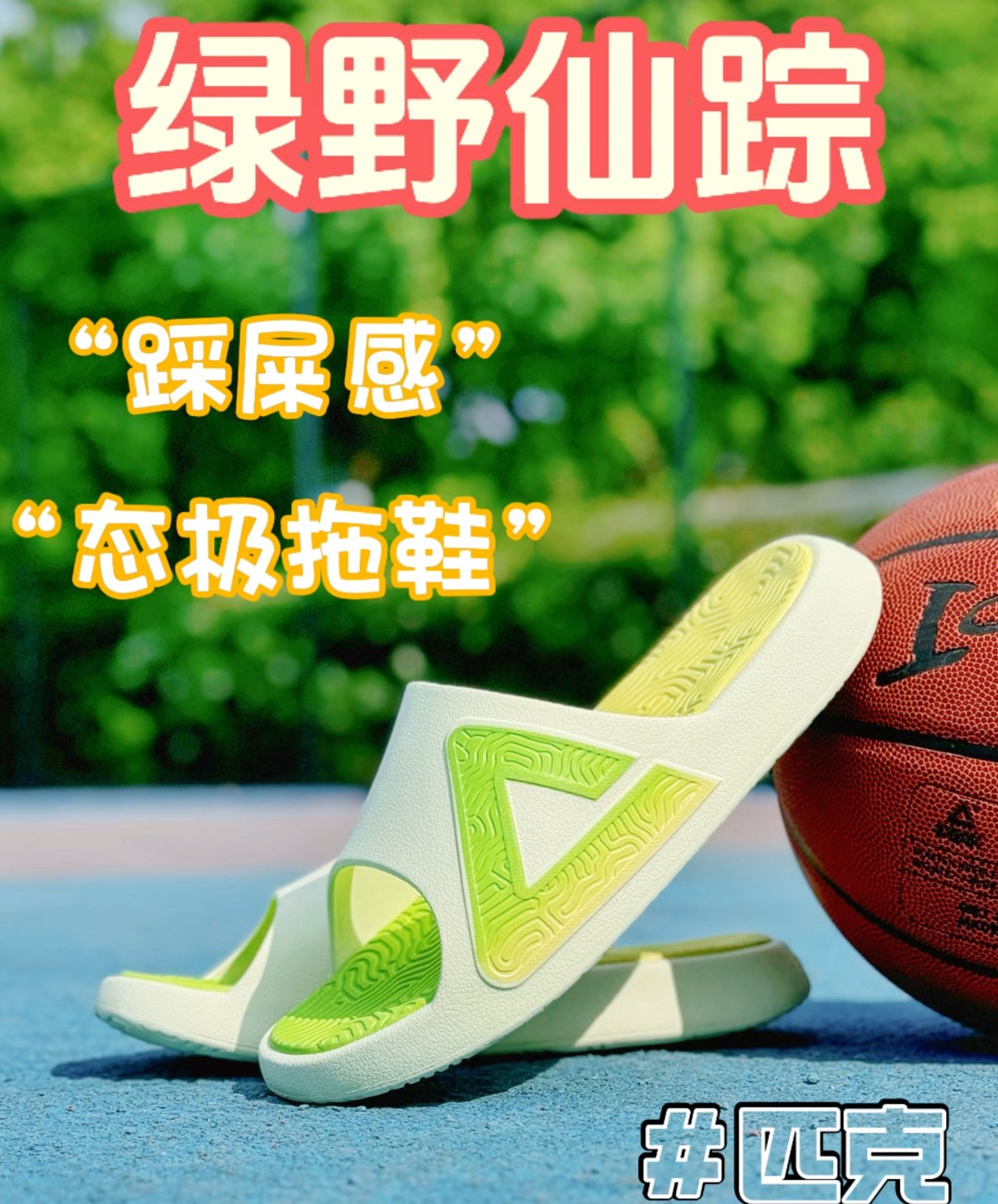 绿野仙踪 | 这颜值够高了吧❓