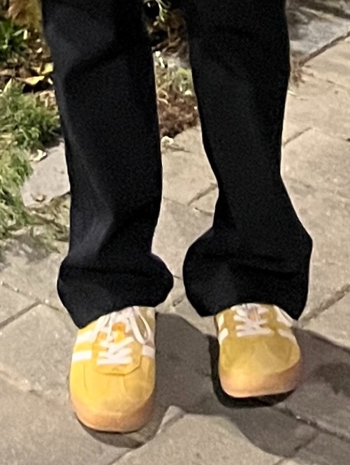 小狗说：今天也想见到你，不论是什么天气