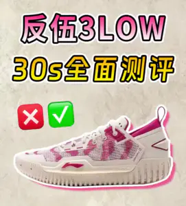 掌管耐磨的神?李宁反伍3low