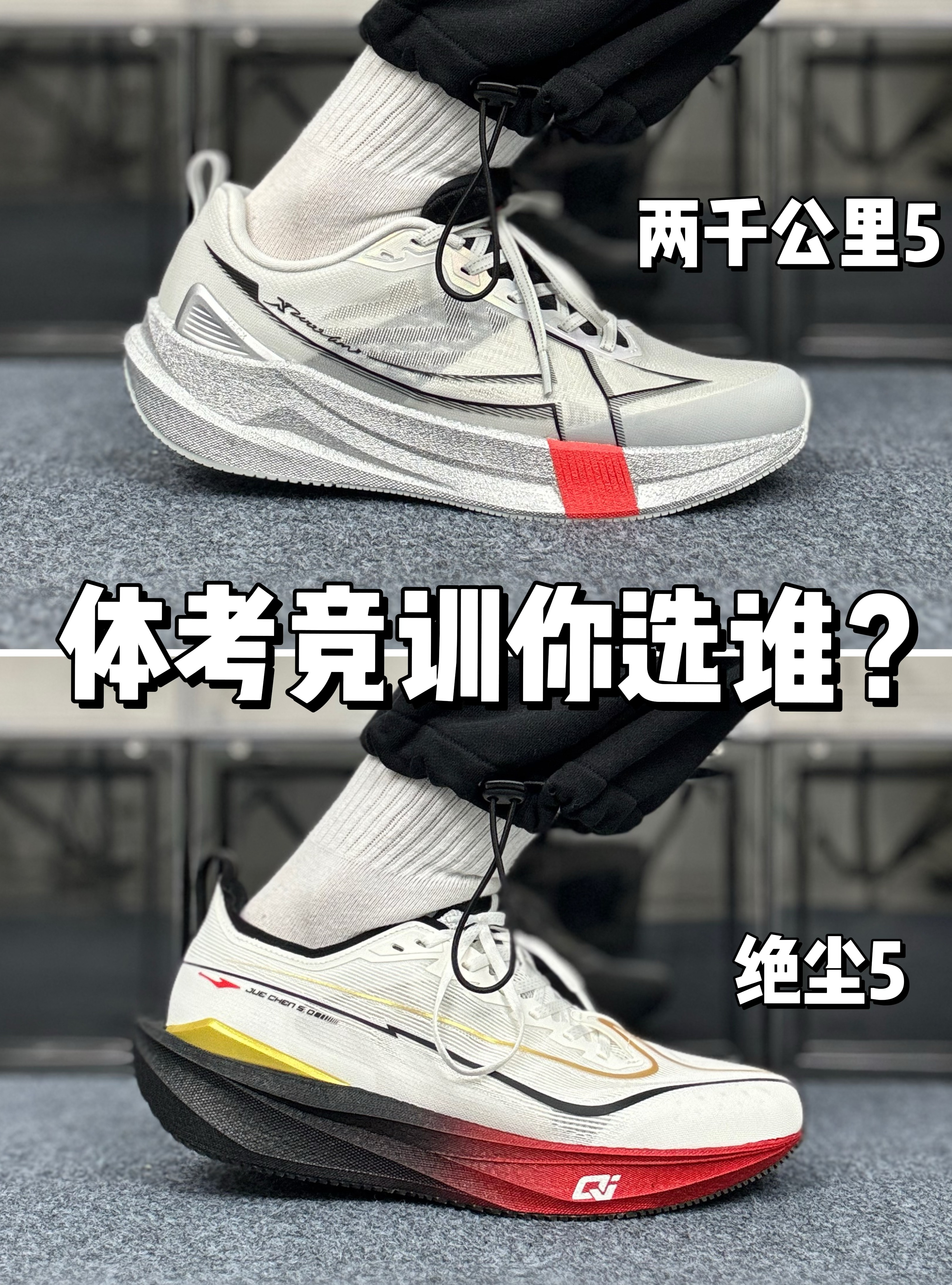 两千公里5&绝尘5，体考竞训Pick谁？