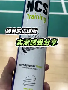 碳音训练版 实测分享