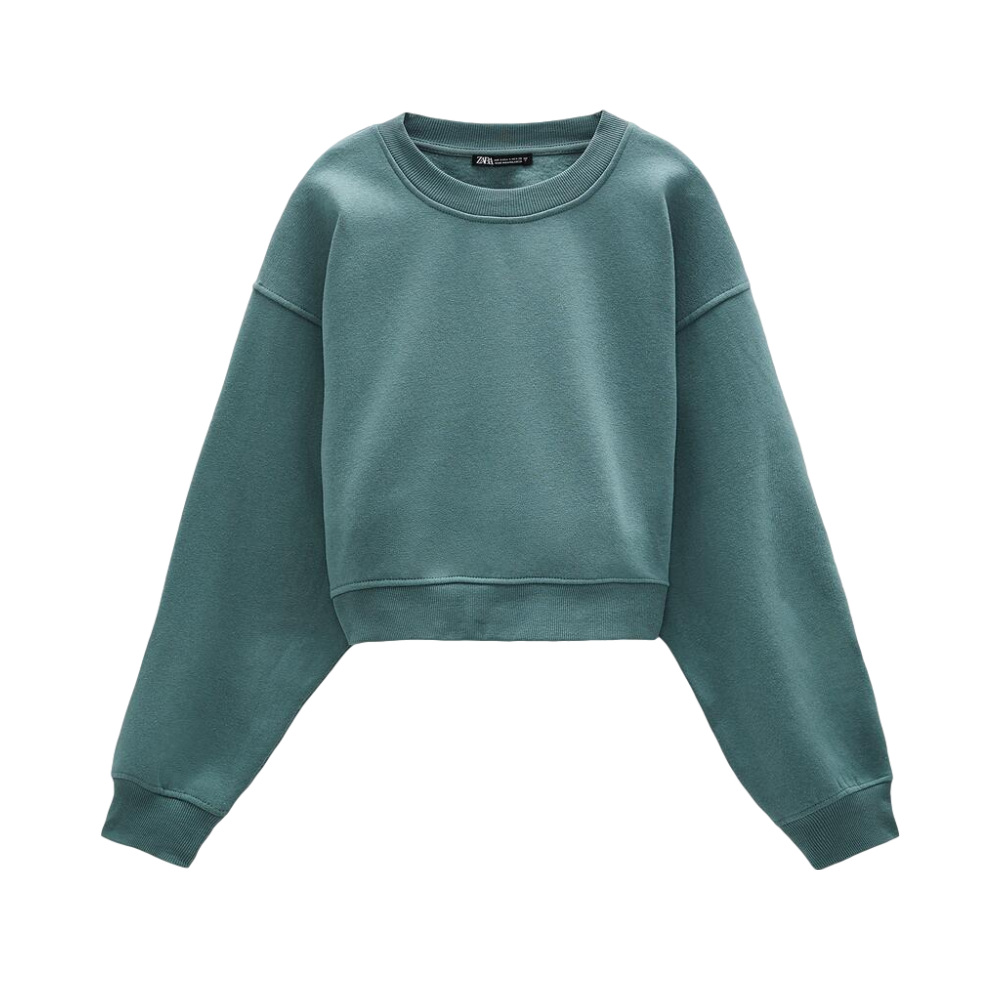 ZARA 基本款 卫衣 男女同款 1660/802 1660802