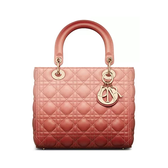 Dior 手提包  M0565OSJB