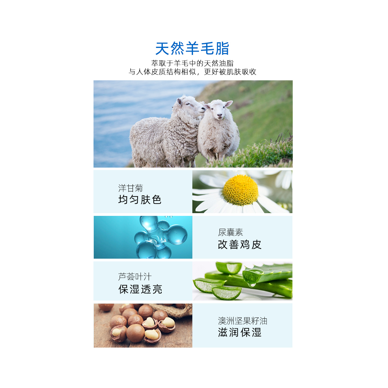 购物之前要识货 正品保障|平台比价|售后无忧