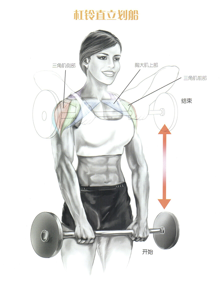 轰炸三角肌一起突破三角肌瓶颈吧