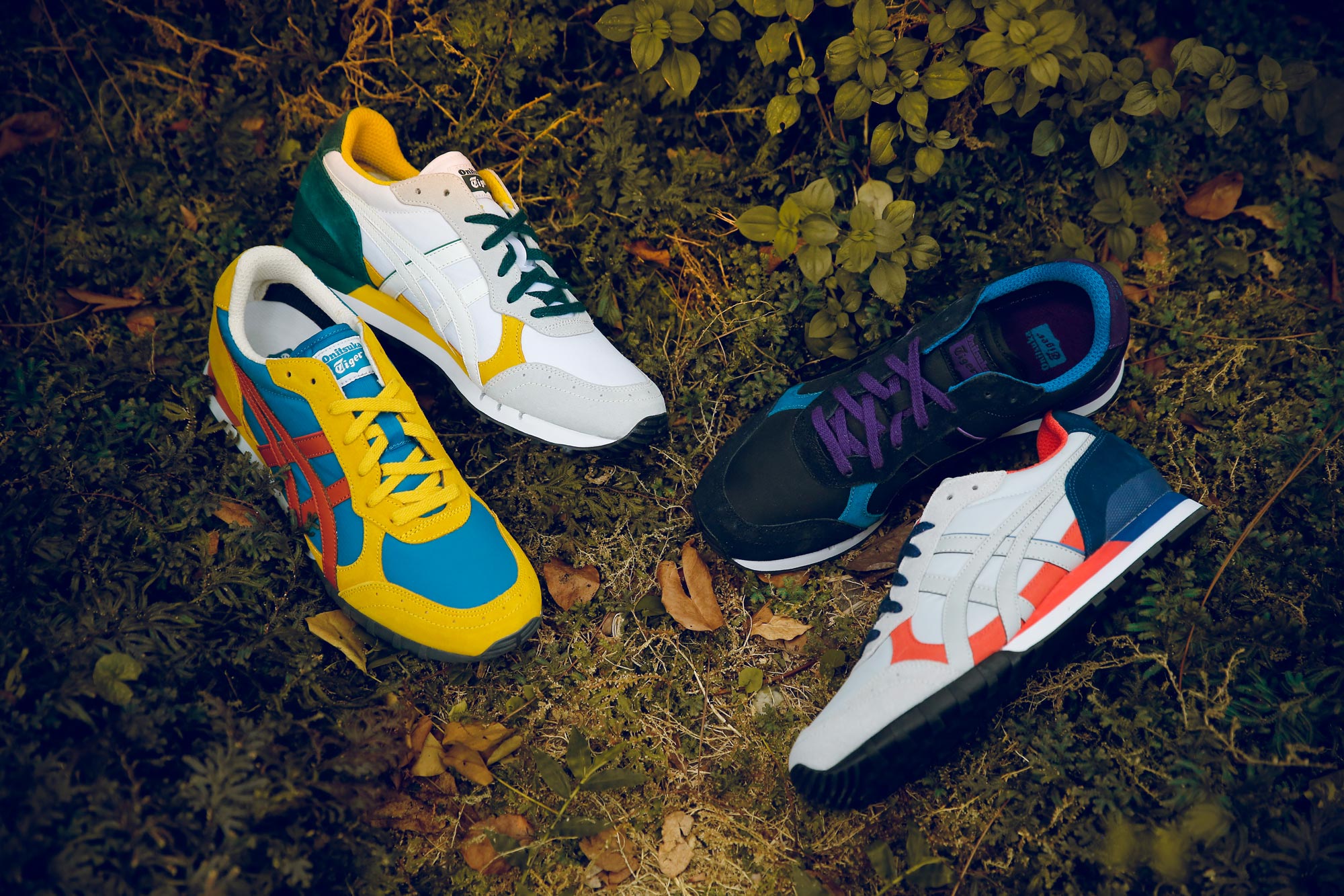 “onitsuka tiger colorado”的图片搜索结果
