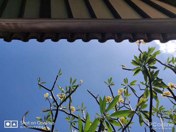 shot by OnePlus 6T
