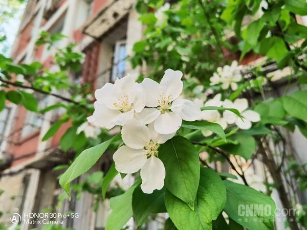 荣耀30 Pro+样张