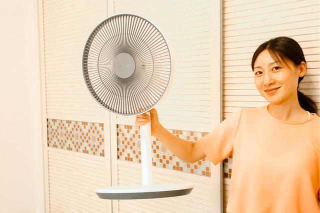 比小米风扇更具科技感，语音操控，体感控温，关键停电也能用