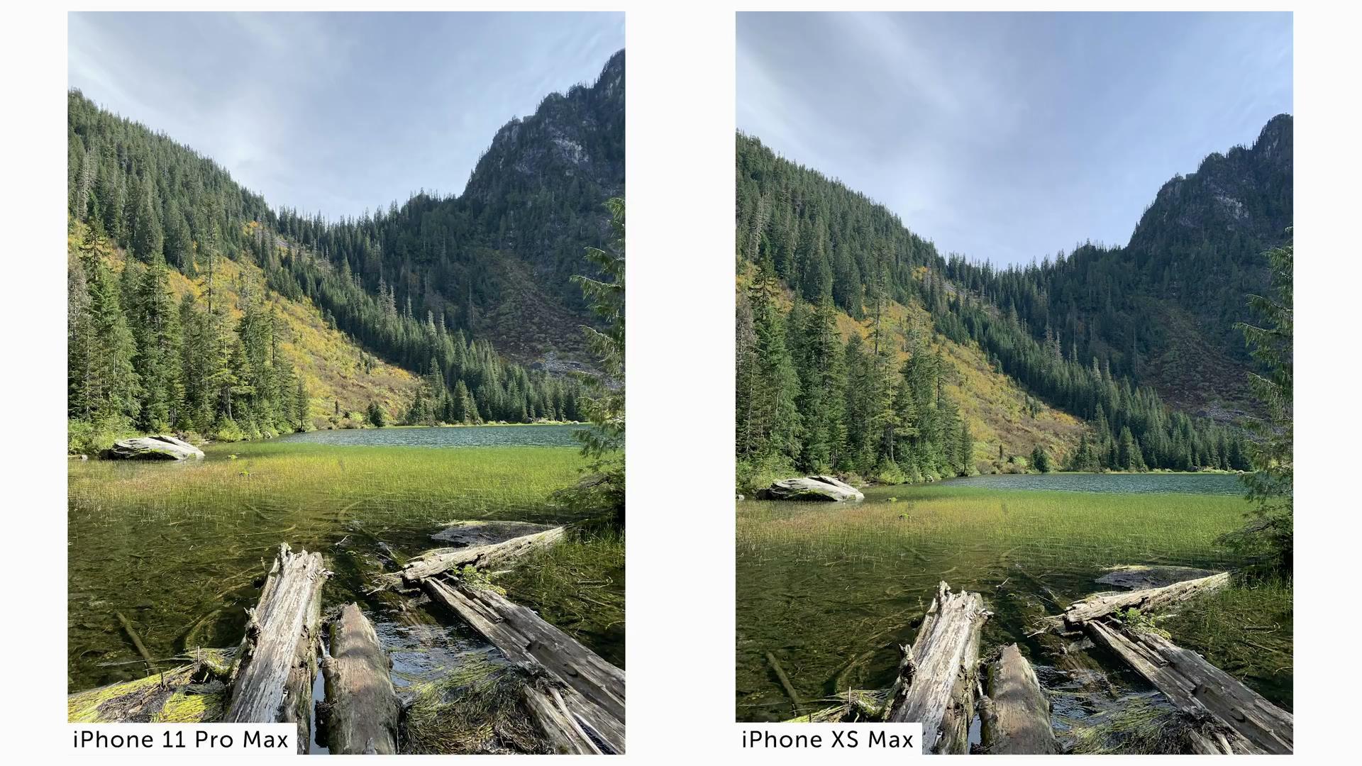 iPhone11和iPhoneXS拍照对比：这差距比想象的大多了