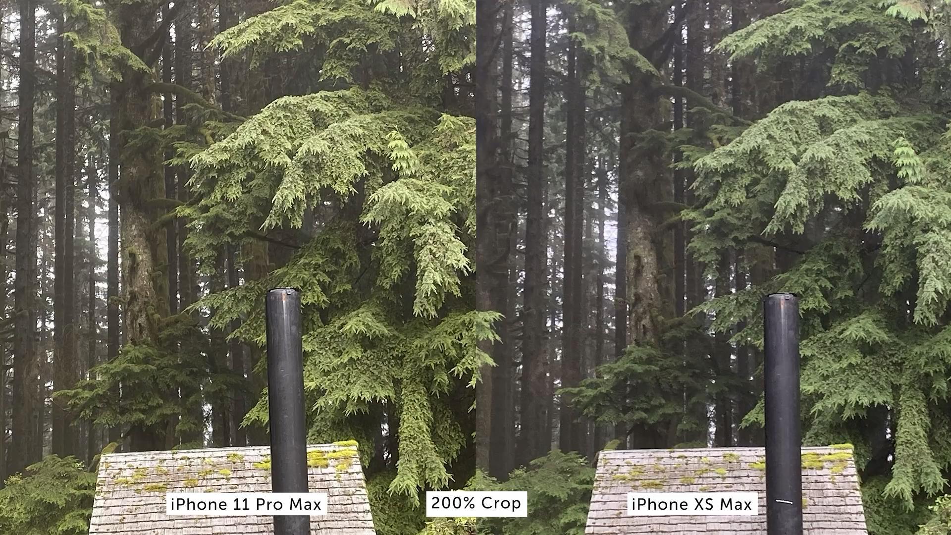iPhone11和iPhoneXS拍照对比：这差距比想象的大多了