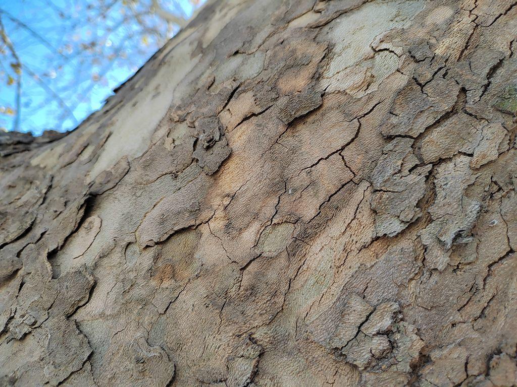 手势加持，隔空拍摄更方便，创新VLOG手机荣耀60开箱