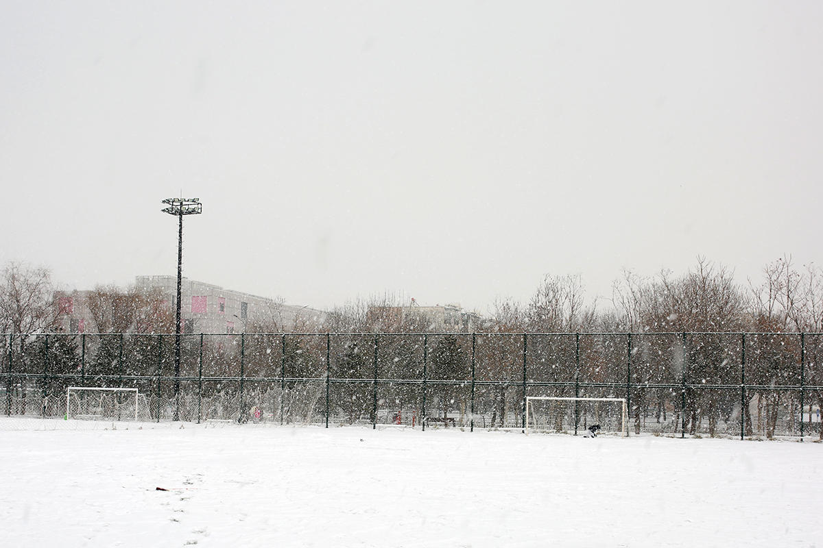 北京2022的雪如约而至相机记录身边美景