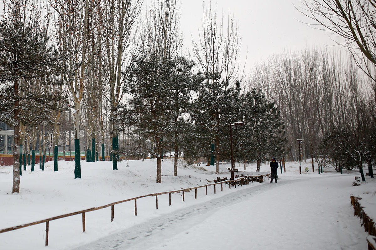 北京2022的雪如约而至相机记录身边美景