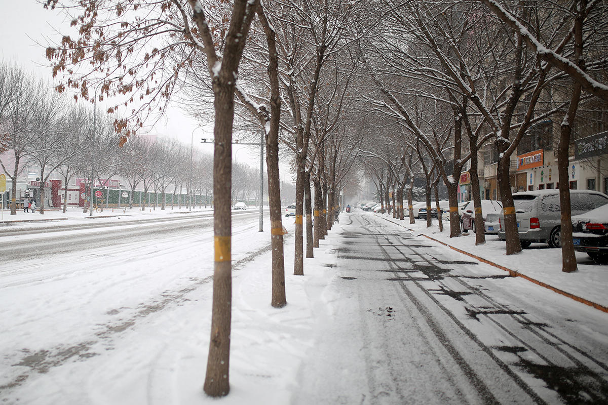 北京2022的雪如约而至相机记录身边美景