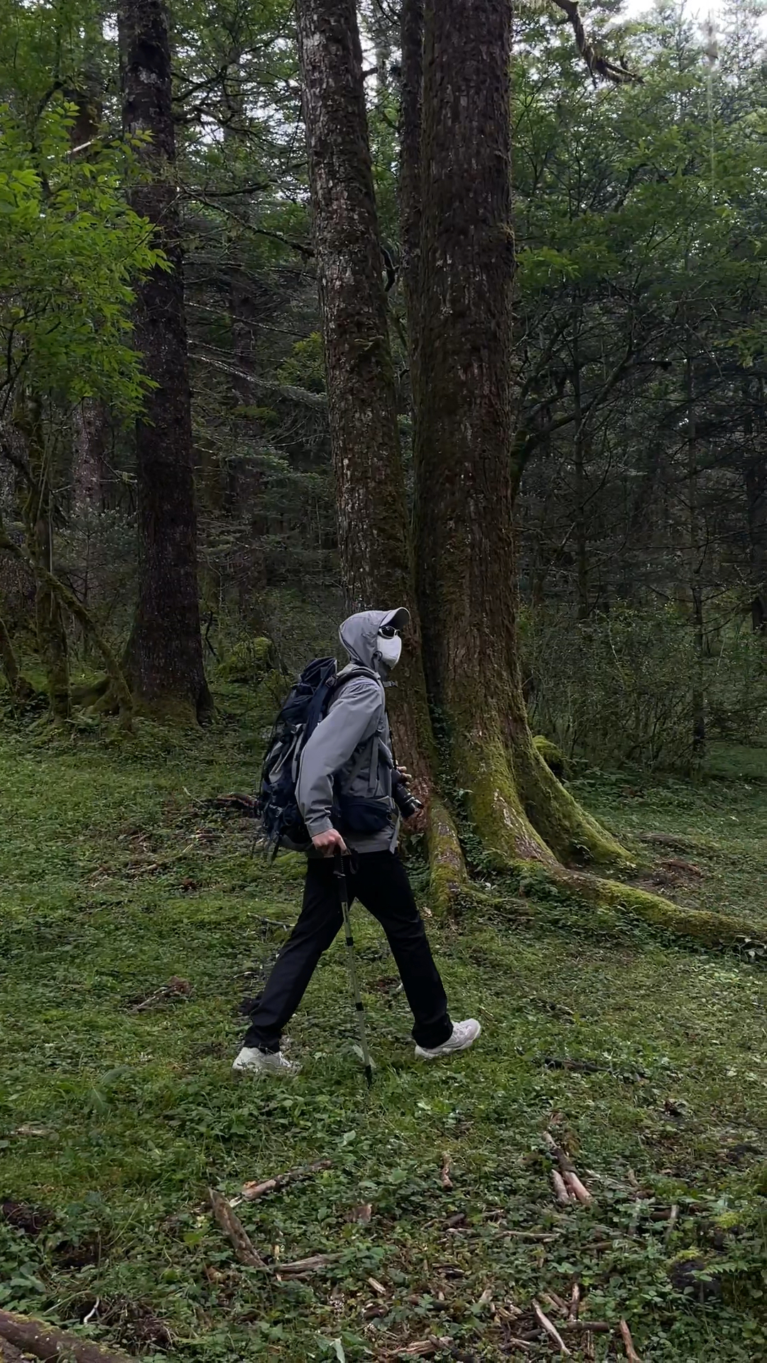 山不见我 我自去见山