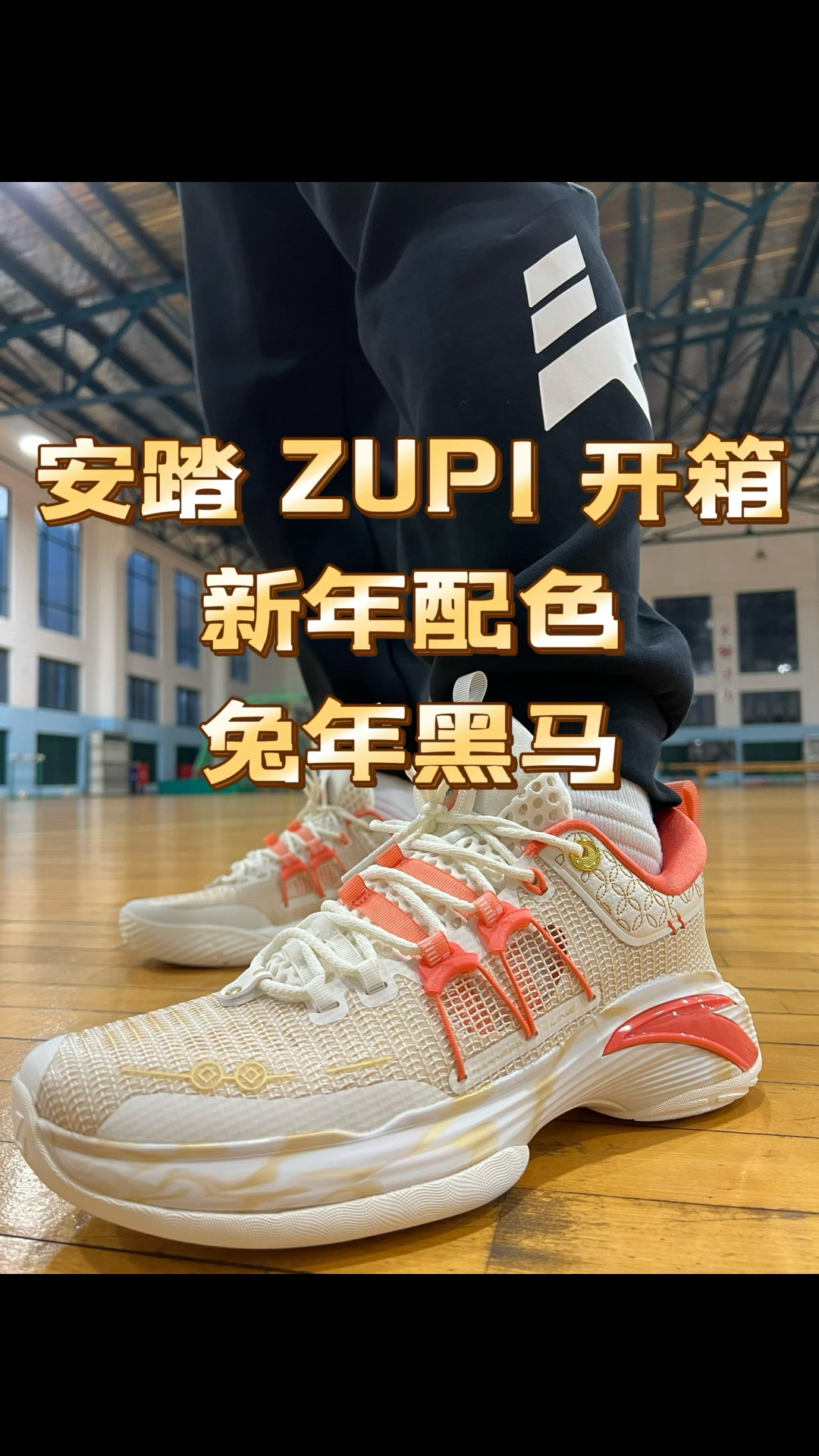 🌈开箱｜安踏“ZUP1”兔年黑马