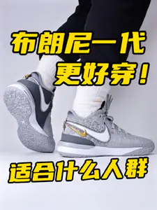 布朗尼一代,适合什么人群?