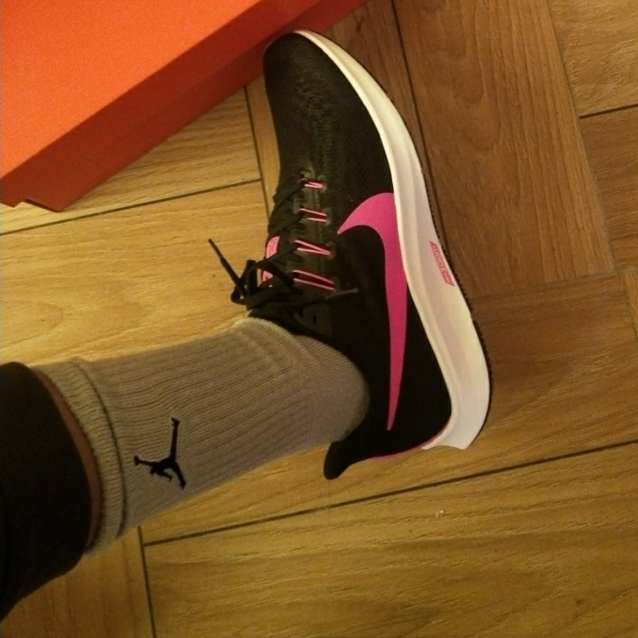 Pegasus 36