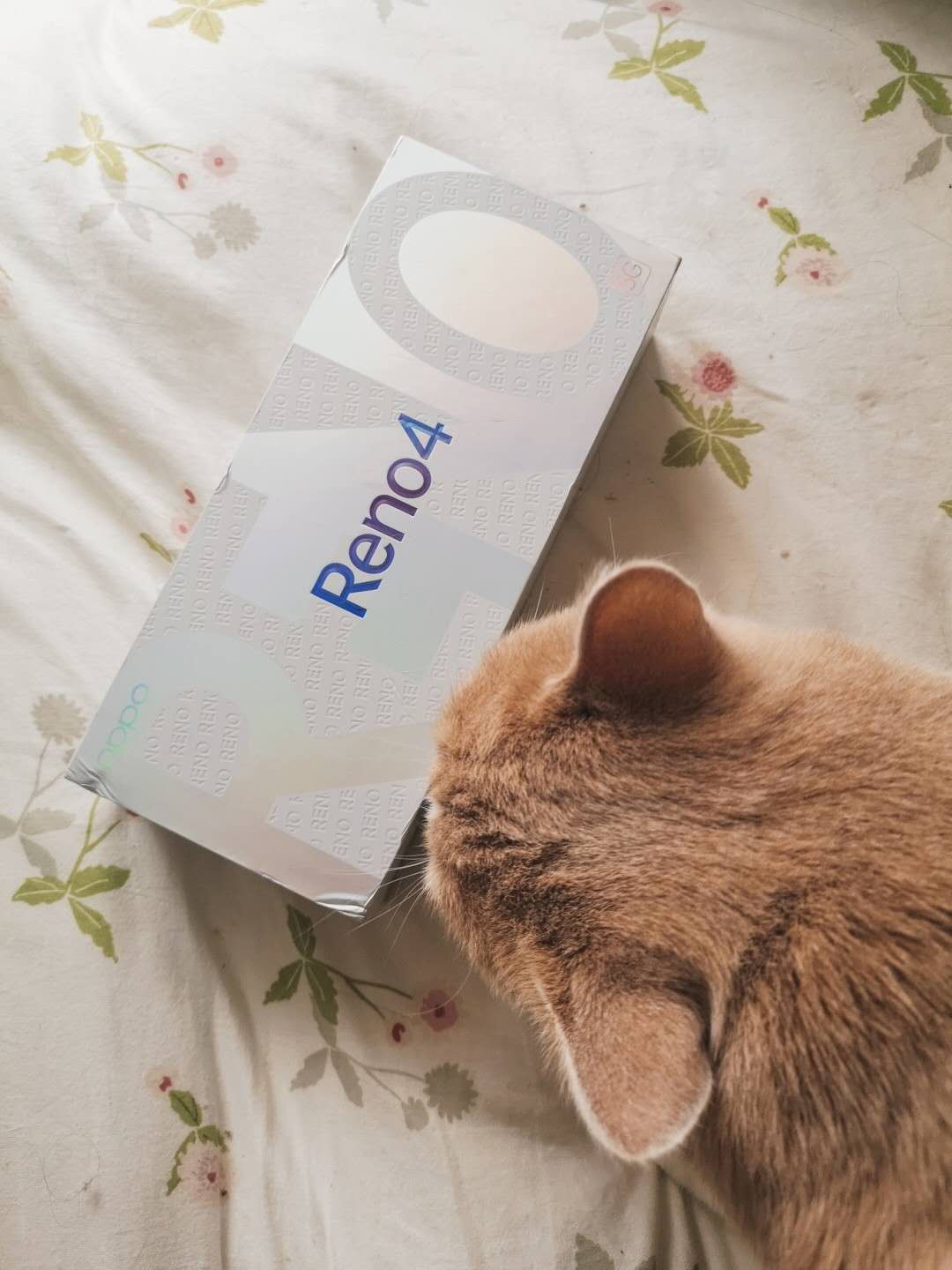 我的神仙手机OPPO RENO 4来啦