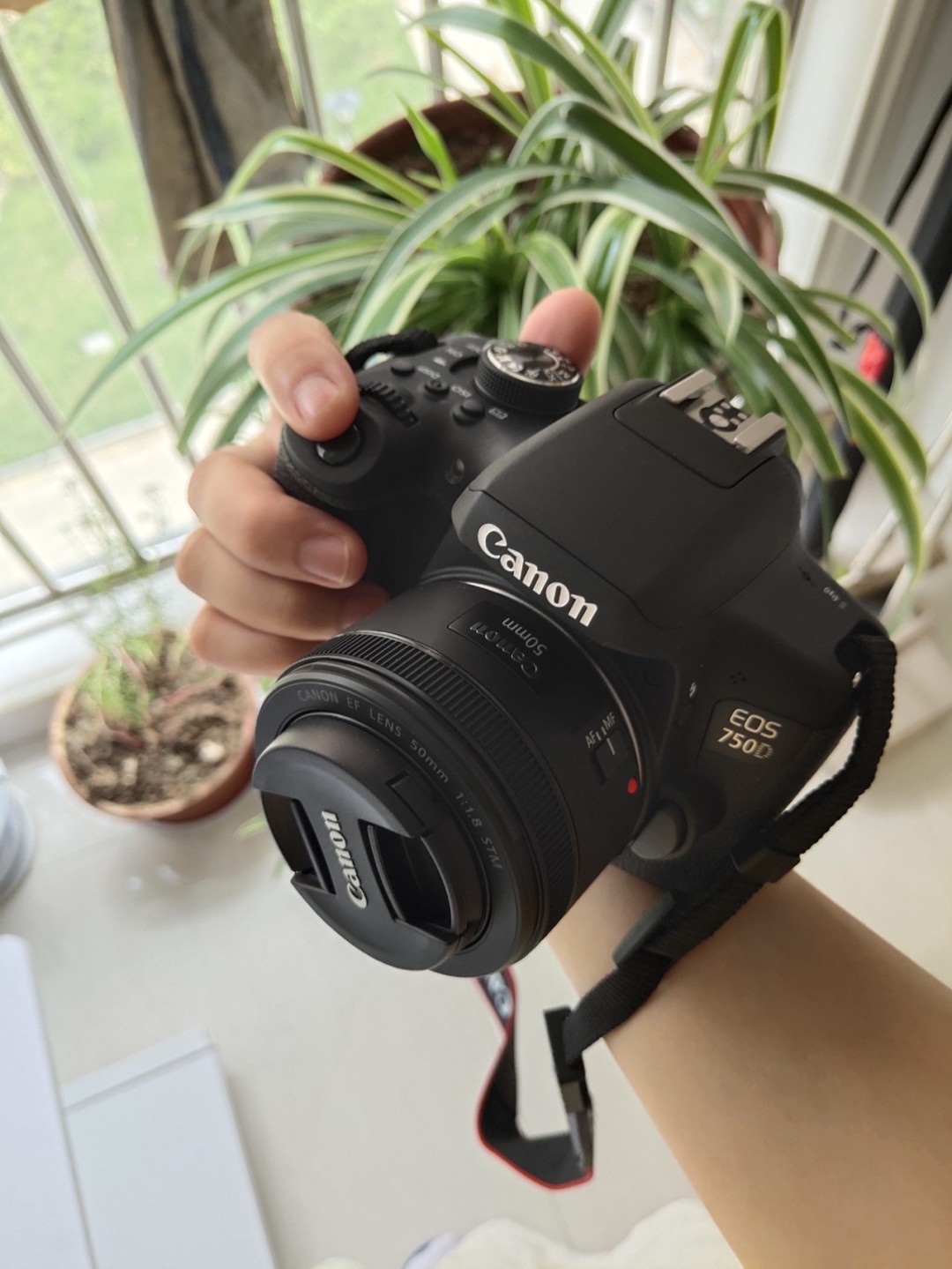 单反相机有关佳能750D