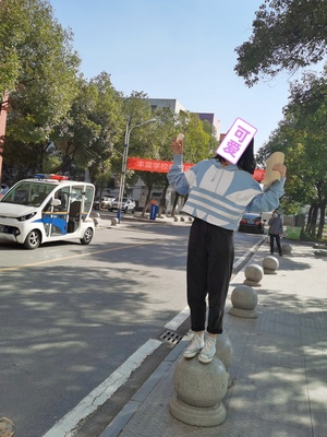 我的分享