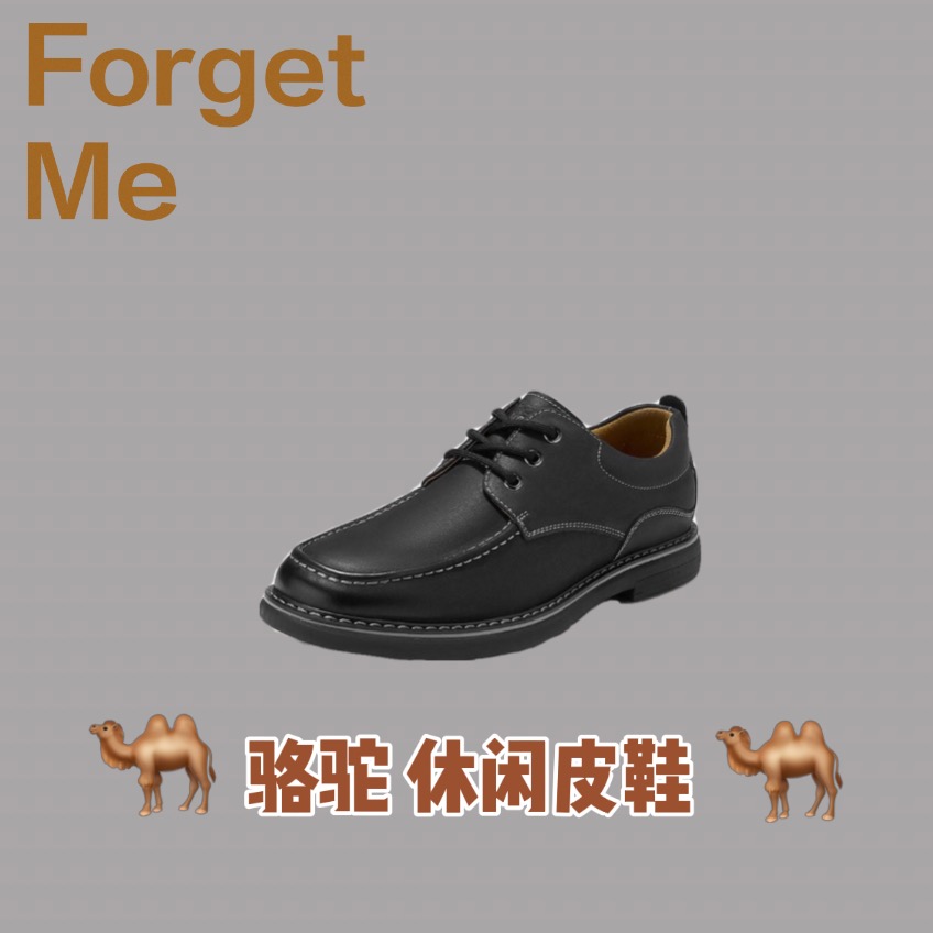 
爸爸很喜欢买给了它