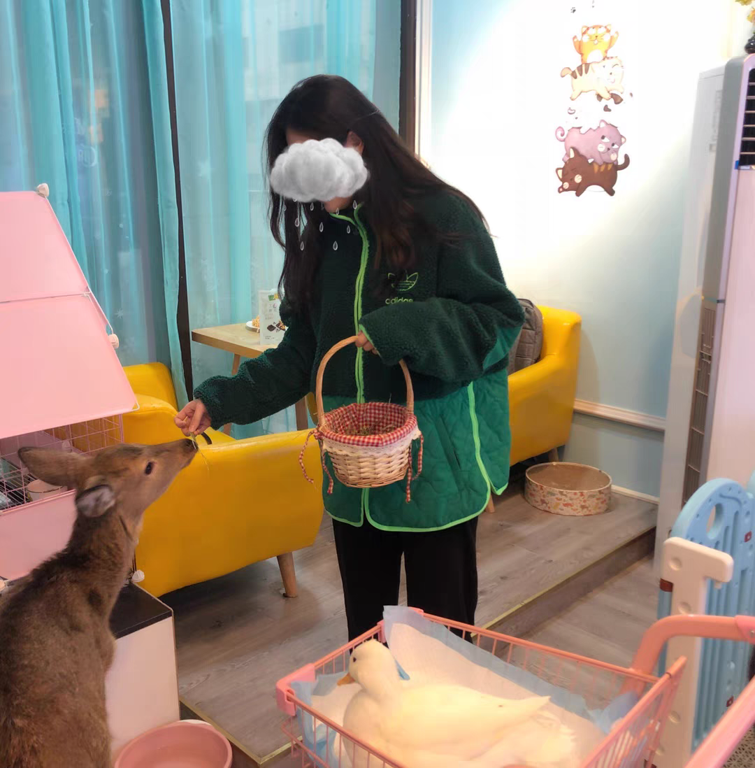 夹克
