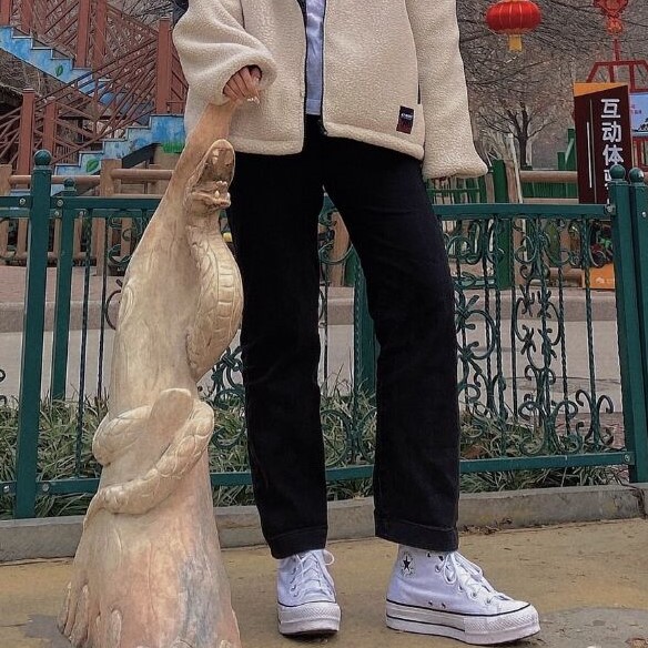白色皮质