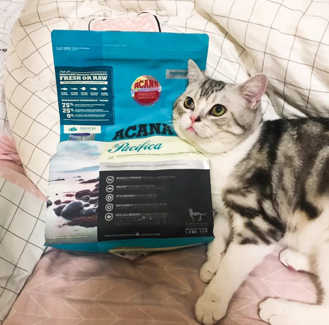 爱肯拿鱼肉猫粮～Acana海洋盛宴