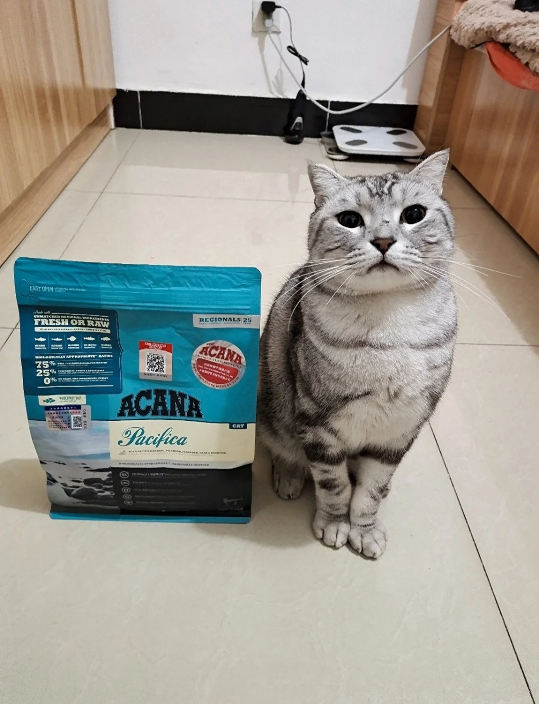 必囤猫粮🍃爱肯拿海洋盛宴全猫粮