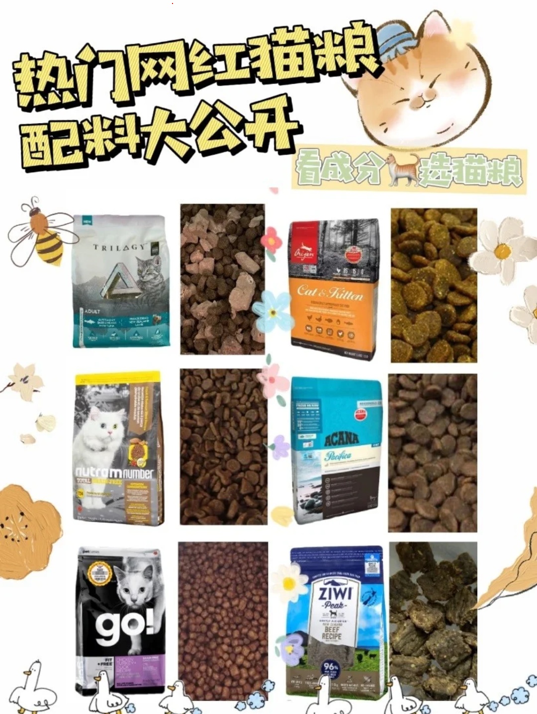 看成分选猫粮你学废了吗🤨
