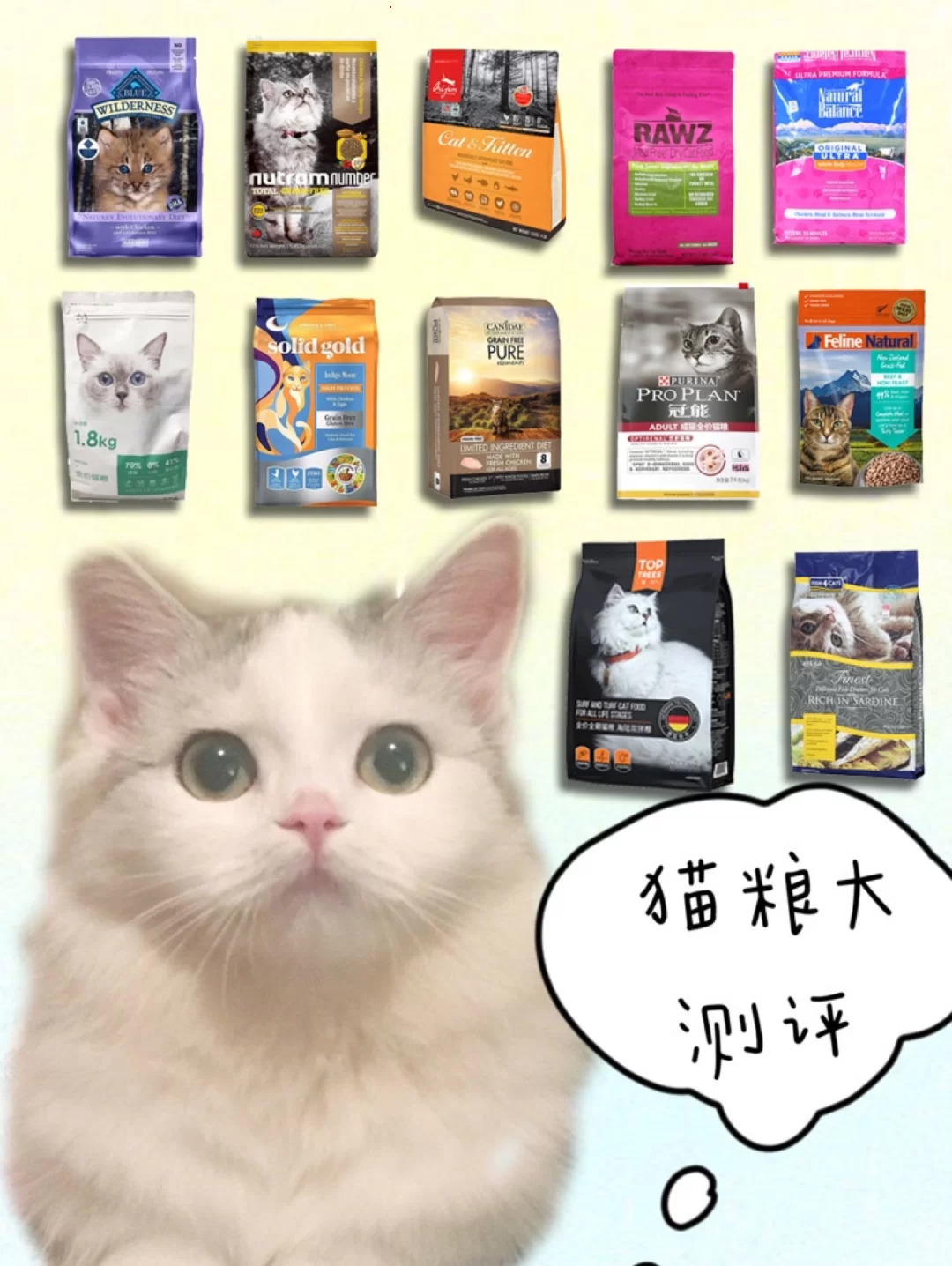 猫粮合集大测评，看看你家猫咪吃的是那一款