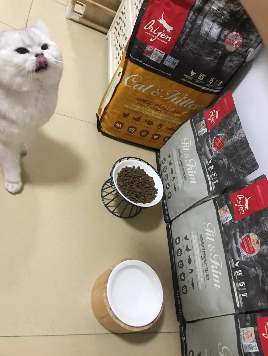 渴望渴望君的厚爱