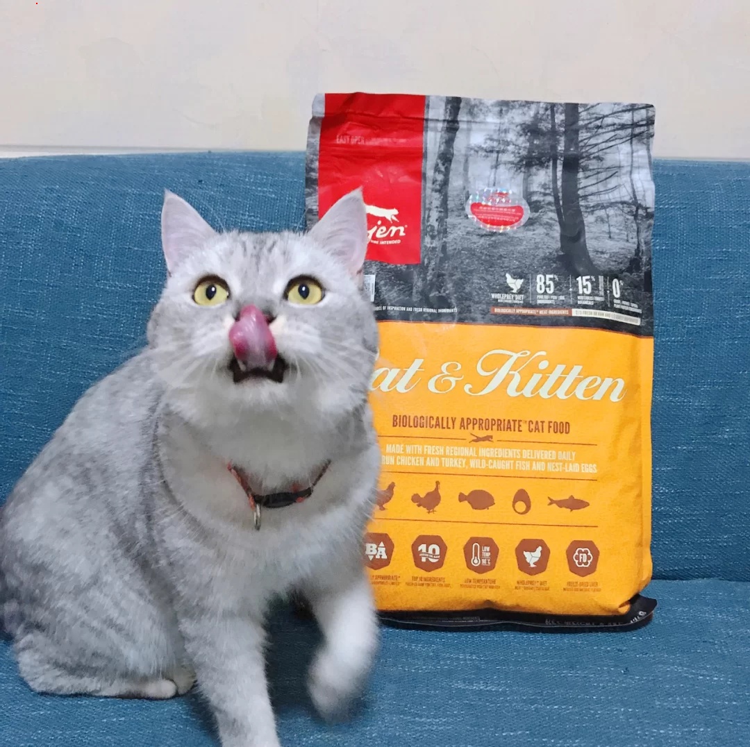 渴望猫粮到底如何？？？
