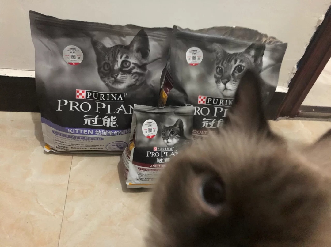 我家主子可所谓是冠能的忠实粉丝