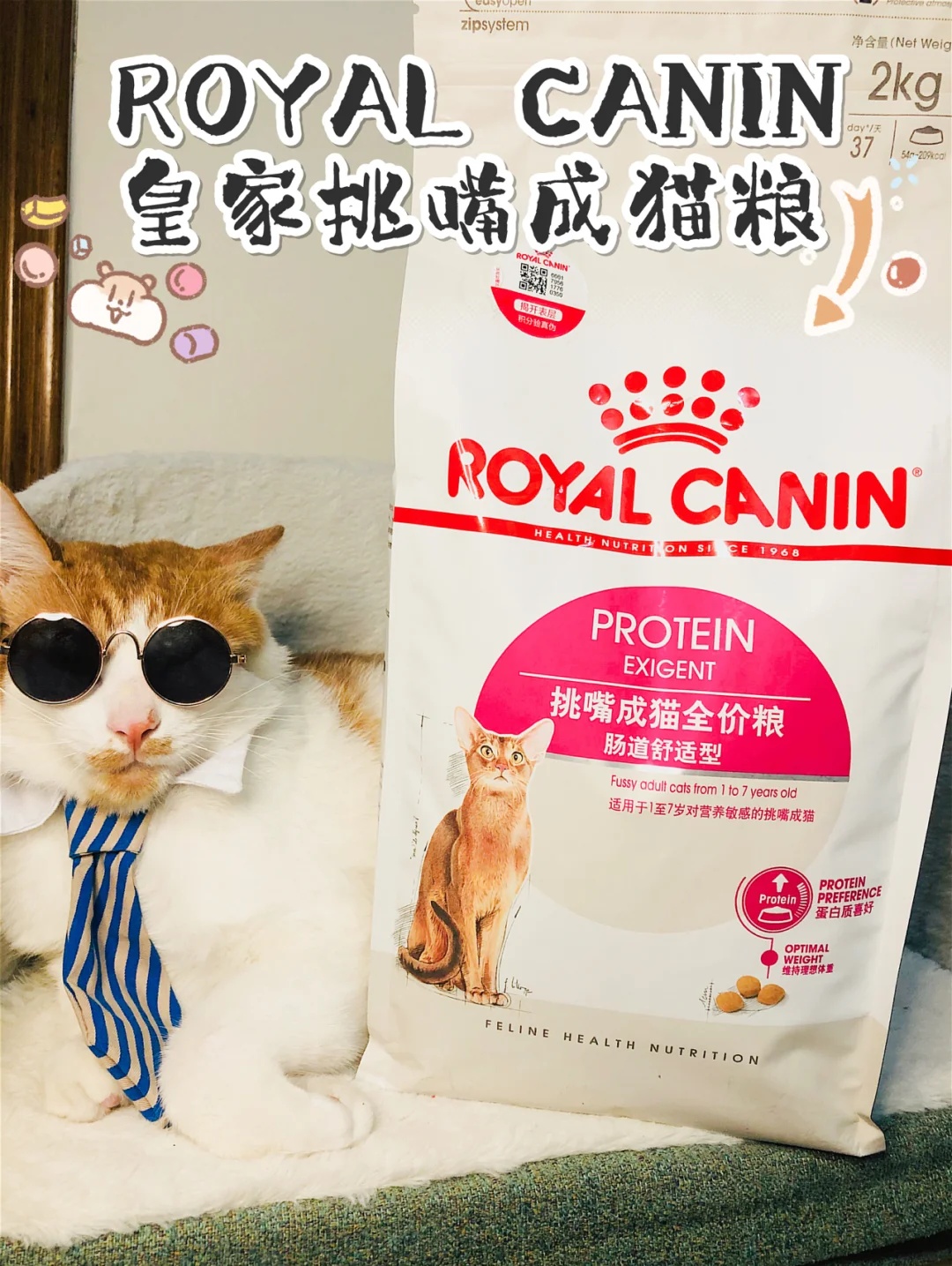 猫粮分享/皇家挑嘴成猫全价粮