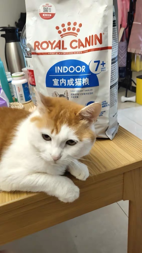 成猫专属猫粮皇I27家室内猫粮