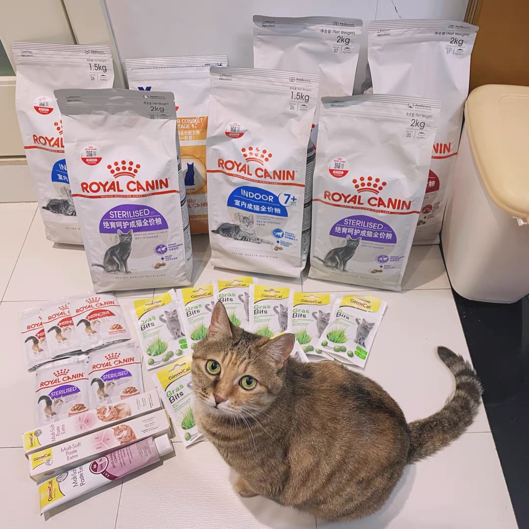 喵以食为天!正确选粮不跟风!站皇家猫粮!