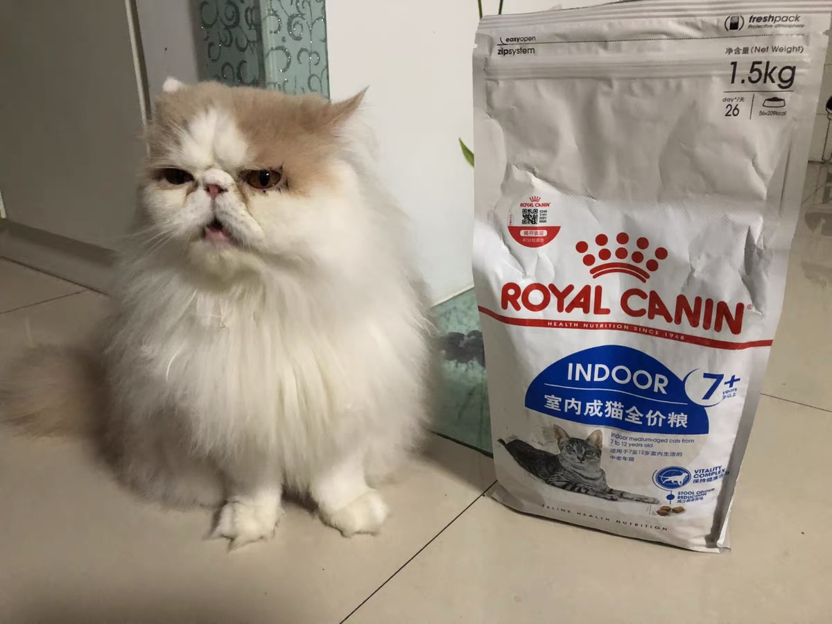 拯救挑食挑嘴猫咪，进口皇家猫粮推荐