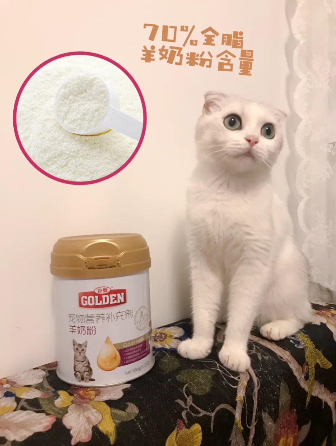 李白喝奶记| 谷登羊奶粉