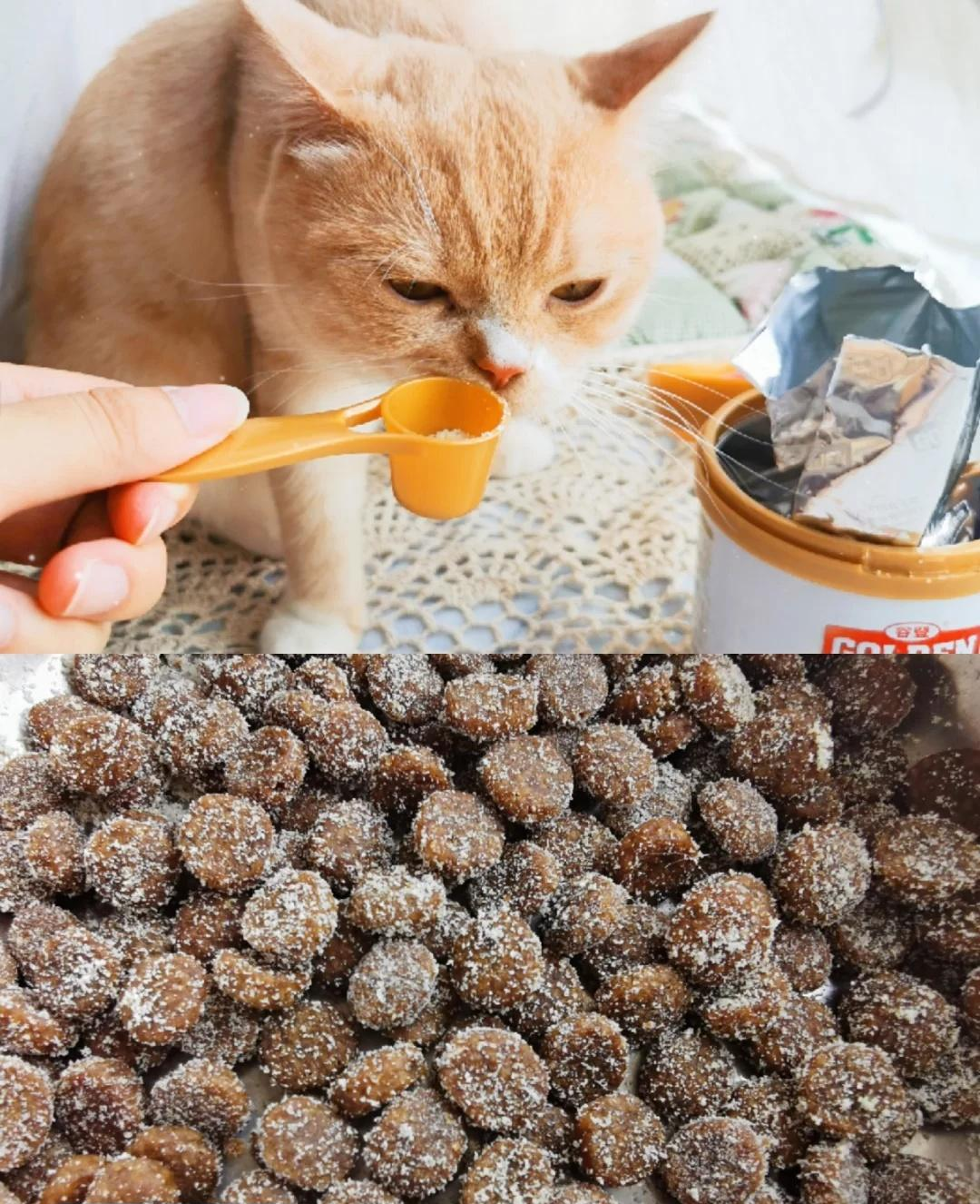 【养猫攻略】😺猫猫营养品-谷登羊奶粉