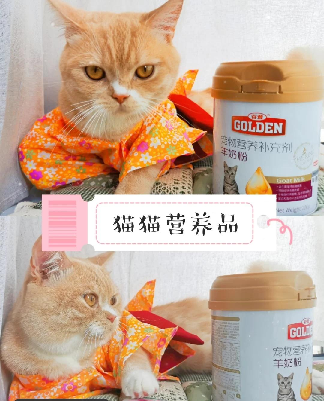 【养猫攻略】😺猫猫营养品-谷登羊奶粉