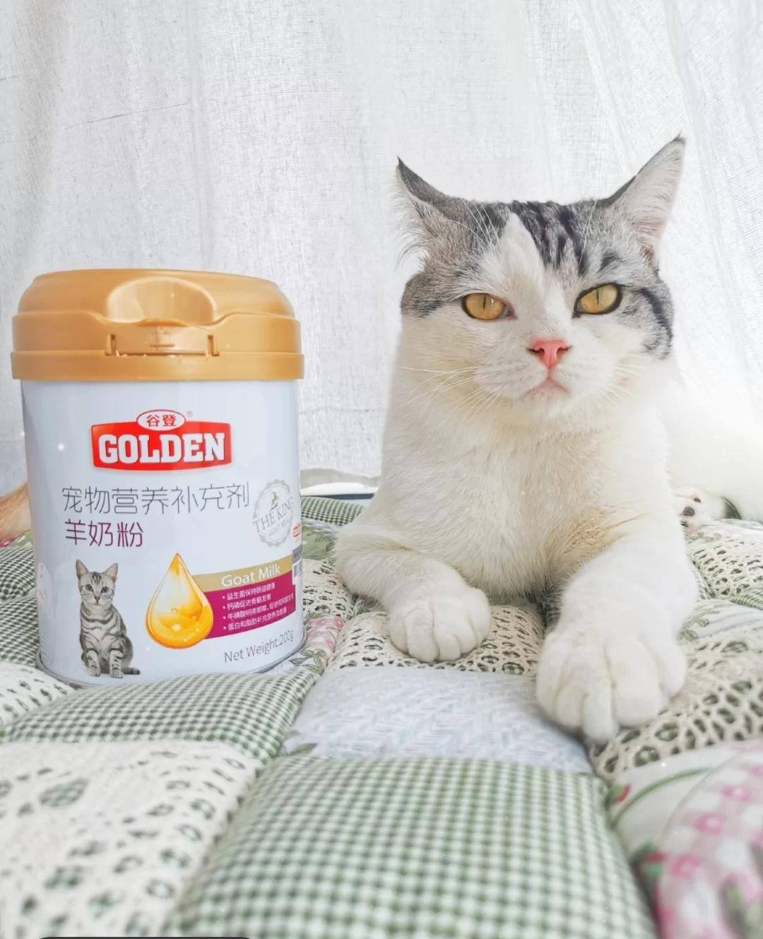 【养猫攻略】😺猫猫营养品-谷登羊奶粉